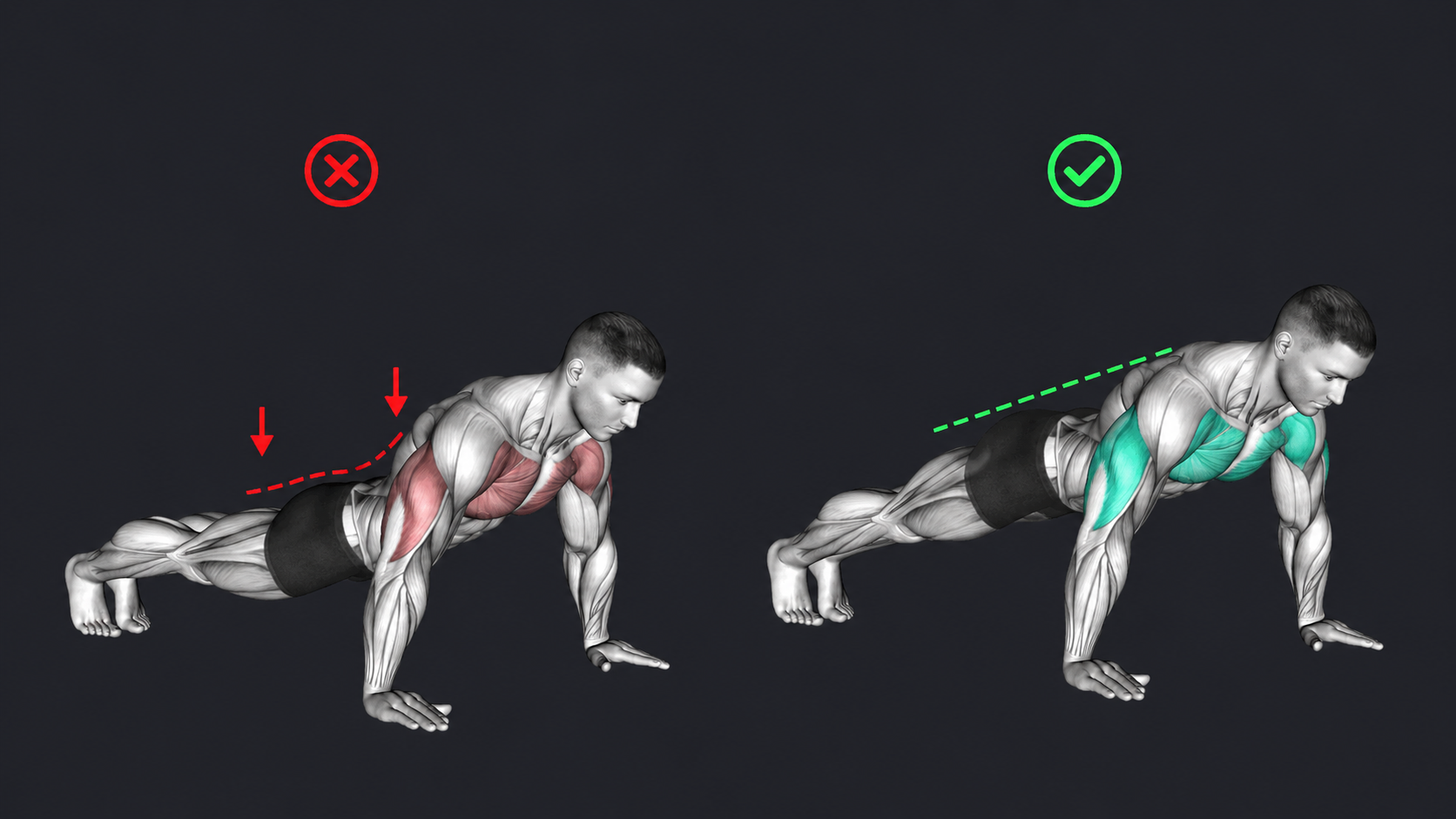 Push Up — Hips sag