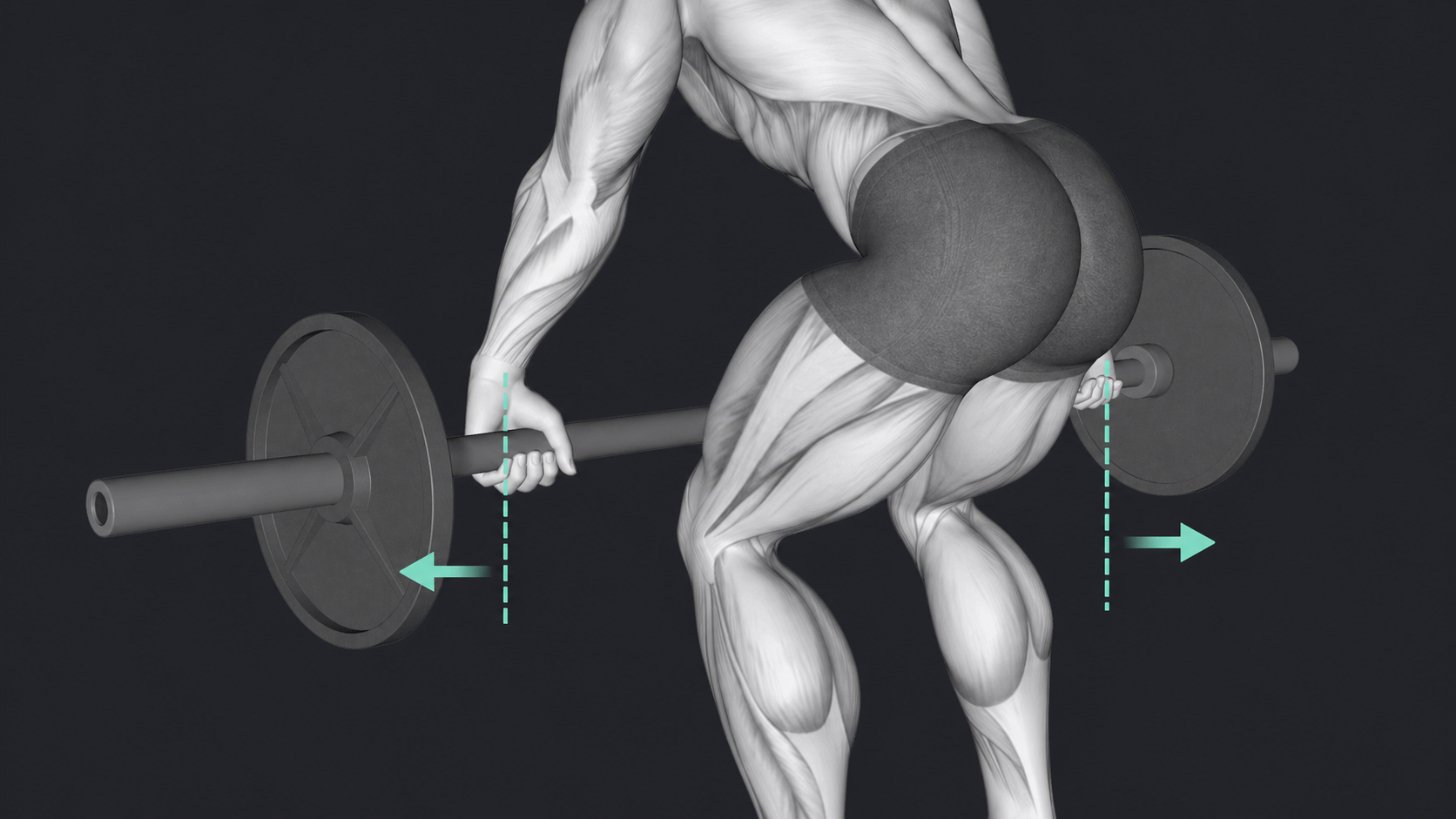 Barbell Row — Grip width