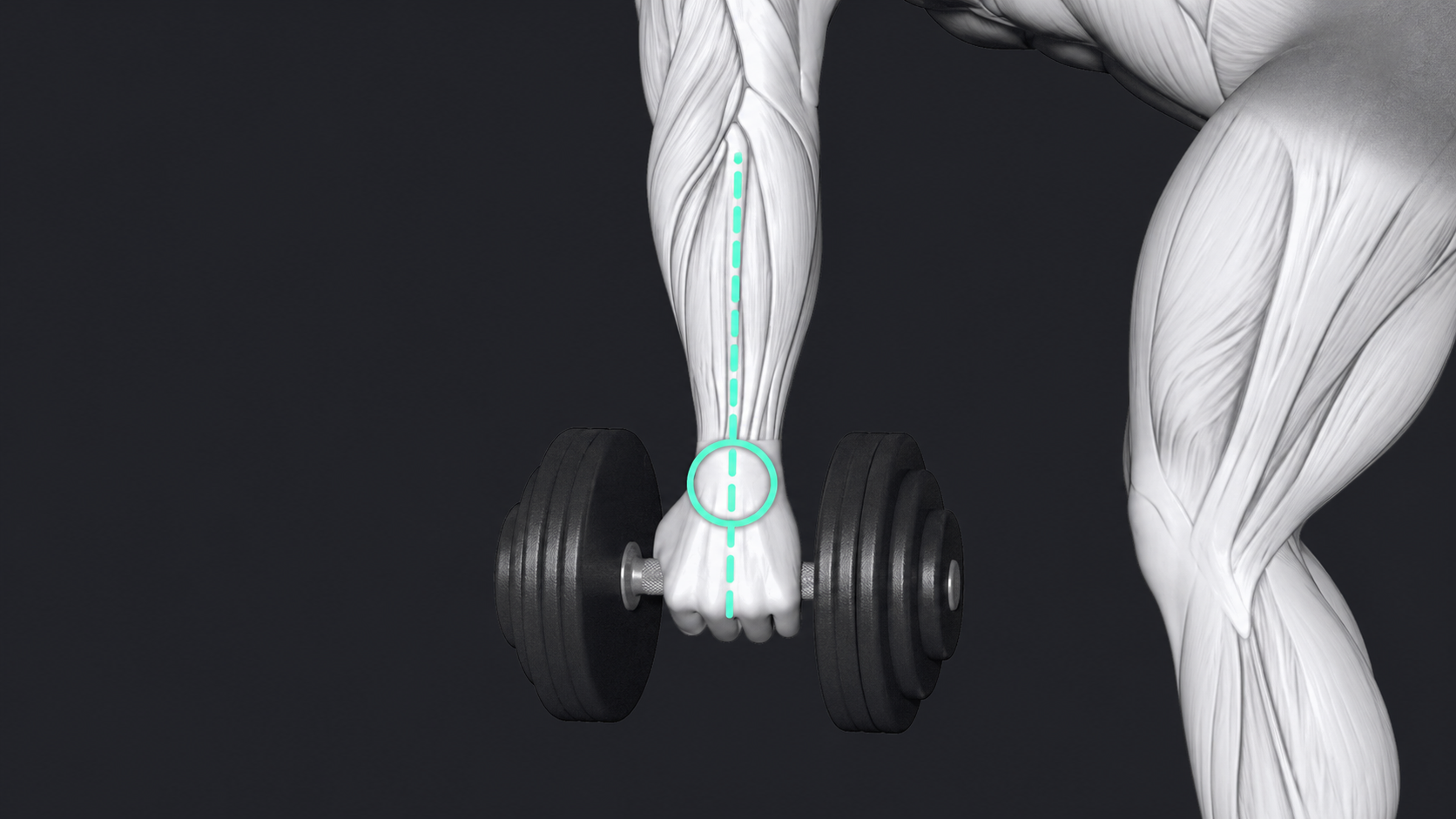 Dumbbell Row — How hard to grip