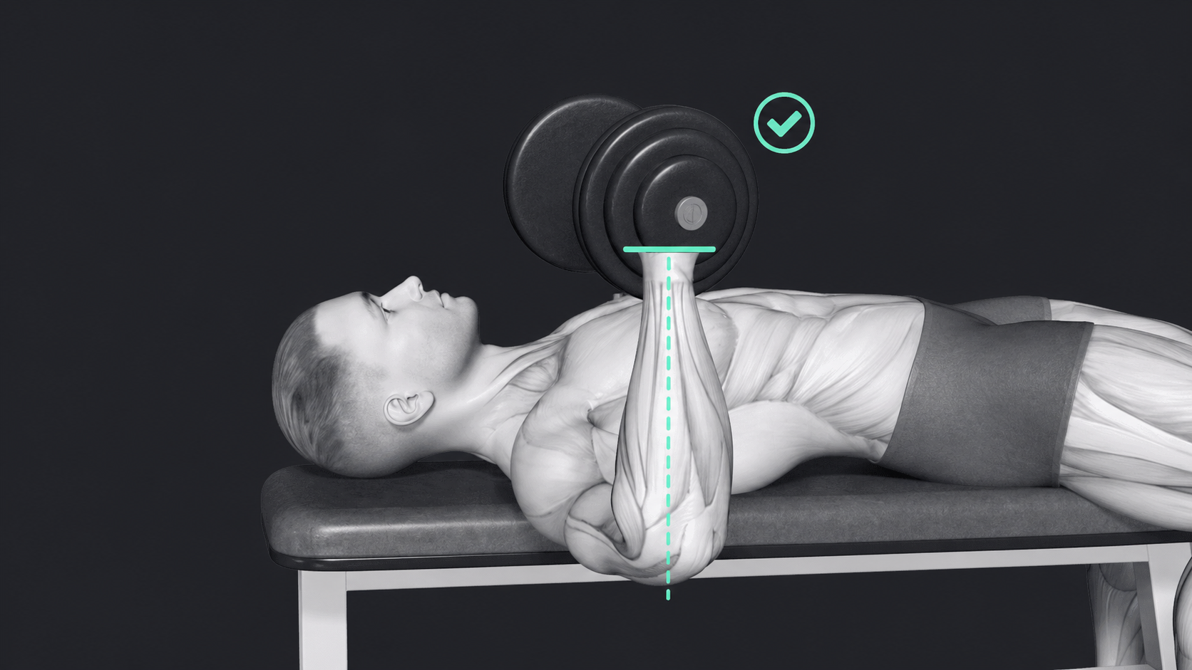 Dumbbell Bench Press — How hard to grip