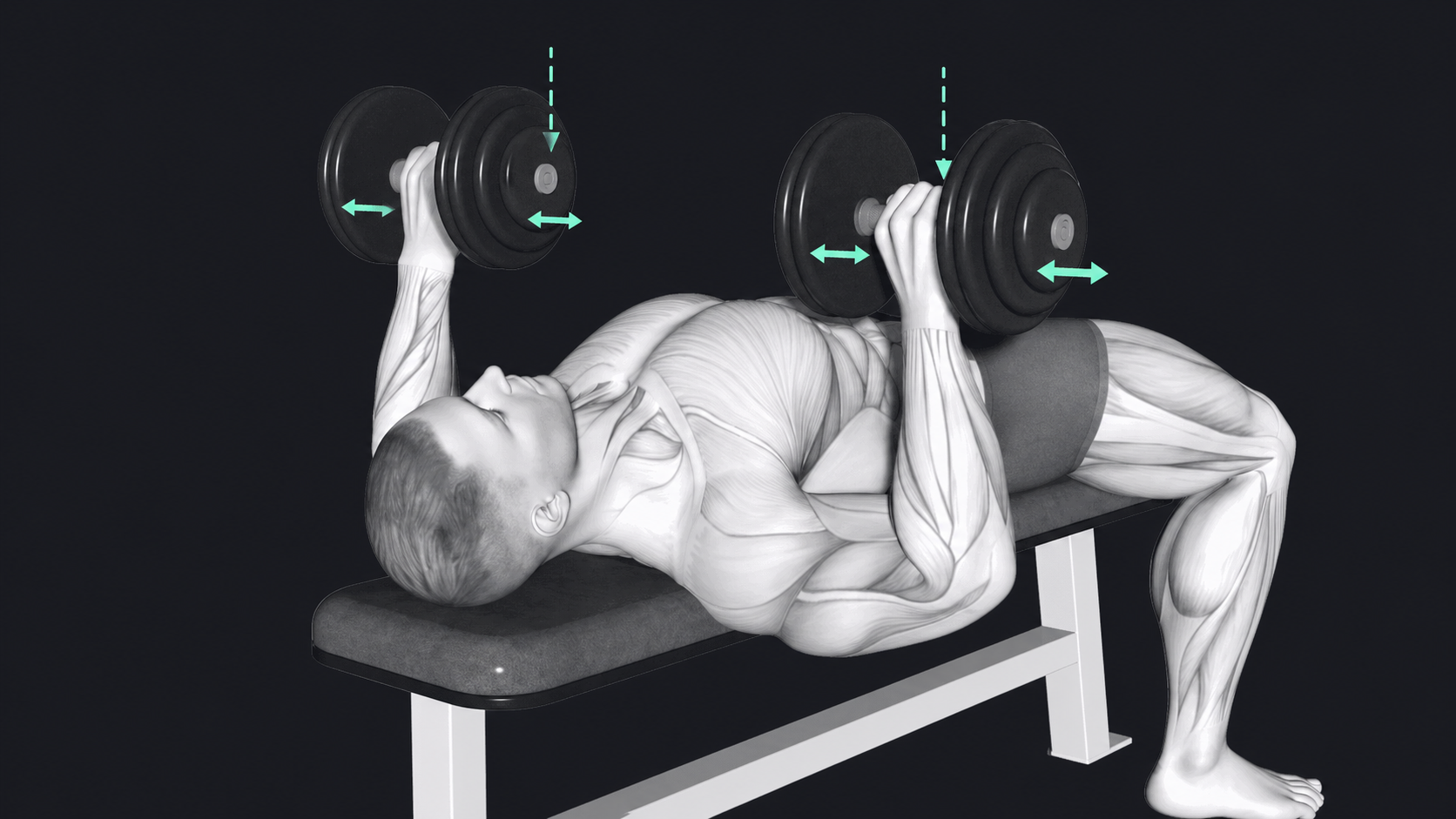 Dumbbell Bench Press — Grip width