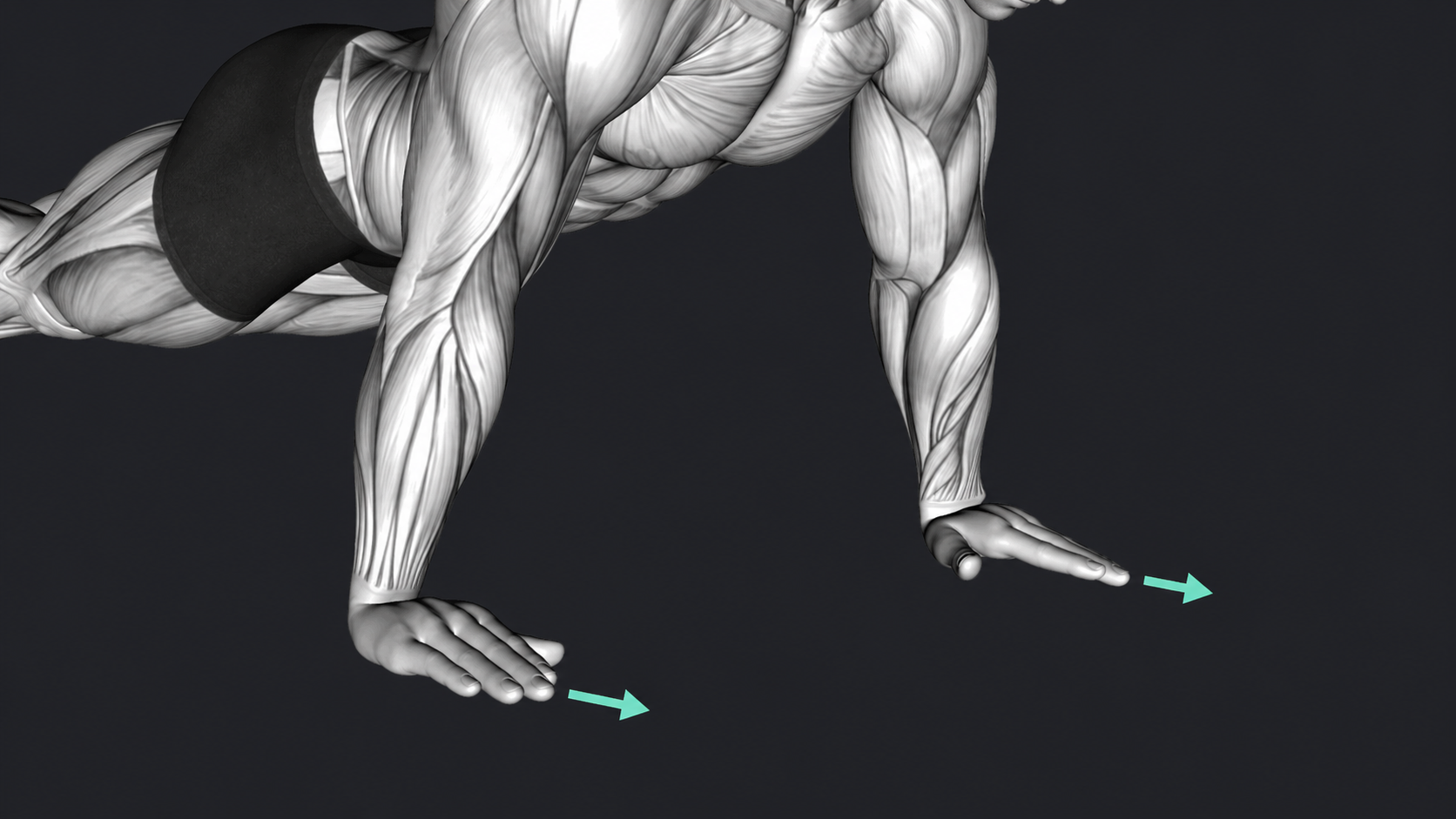 Push Up — Grip type
