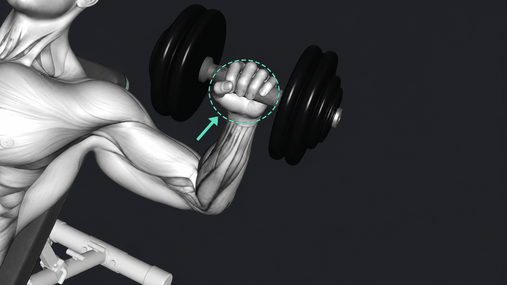 Incline Dumbbell Bench Press — Grip type
