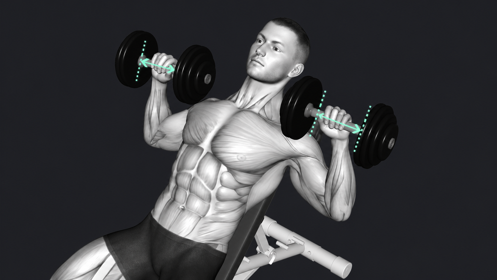 Incline Dumbbell Bench Press — Grip width
