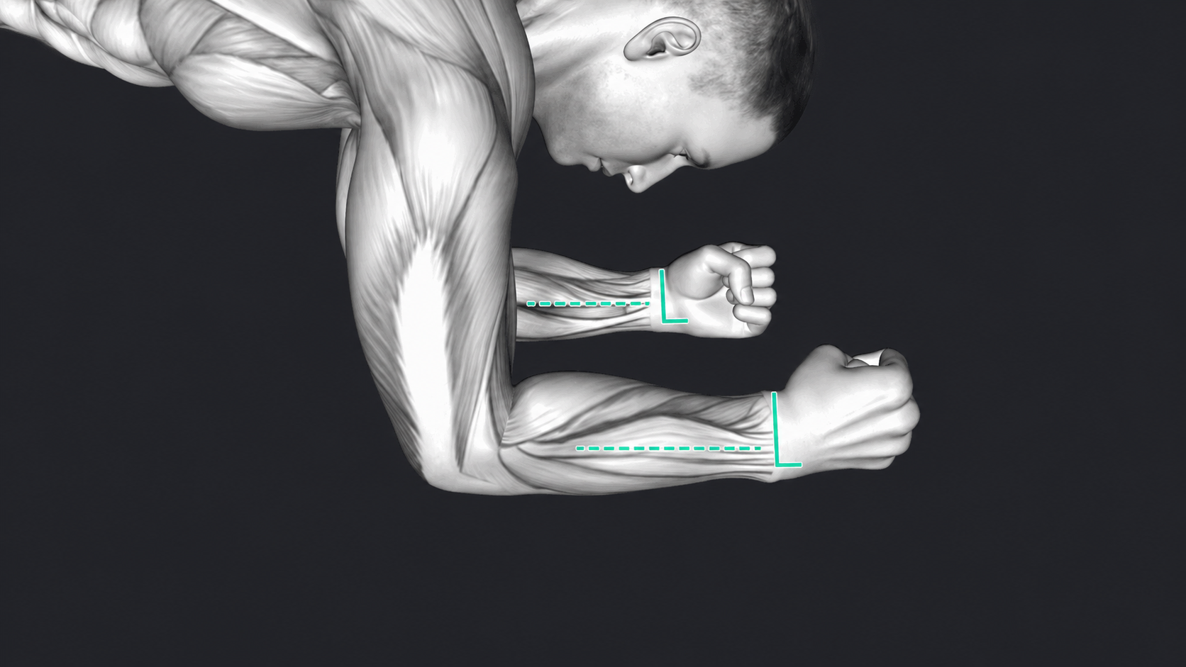 Plank — How hard to grip