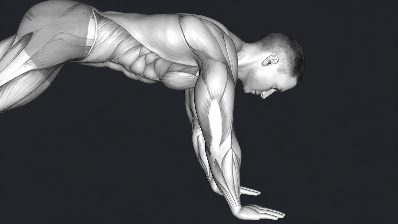 Plank — Grip type