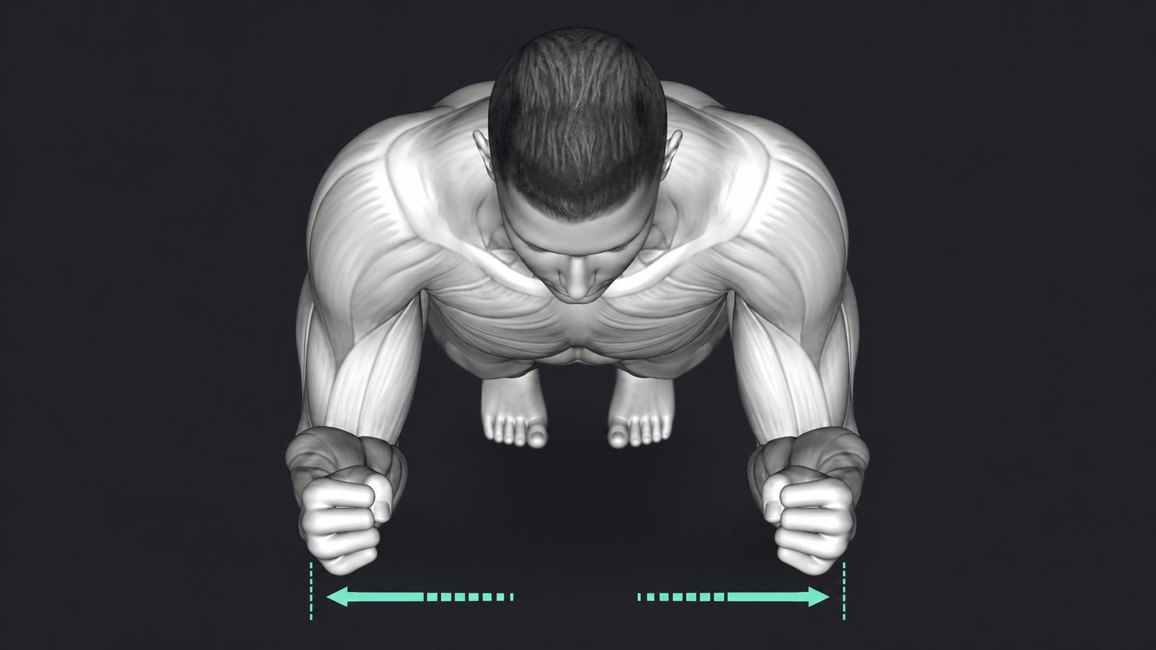 Plank — Grip width