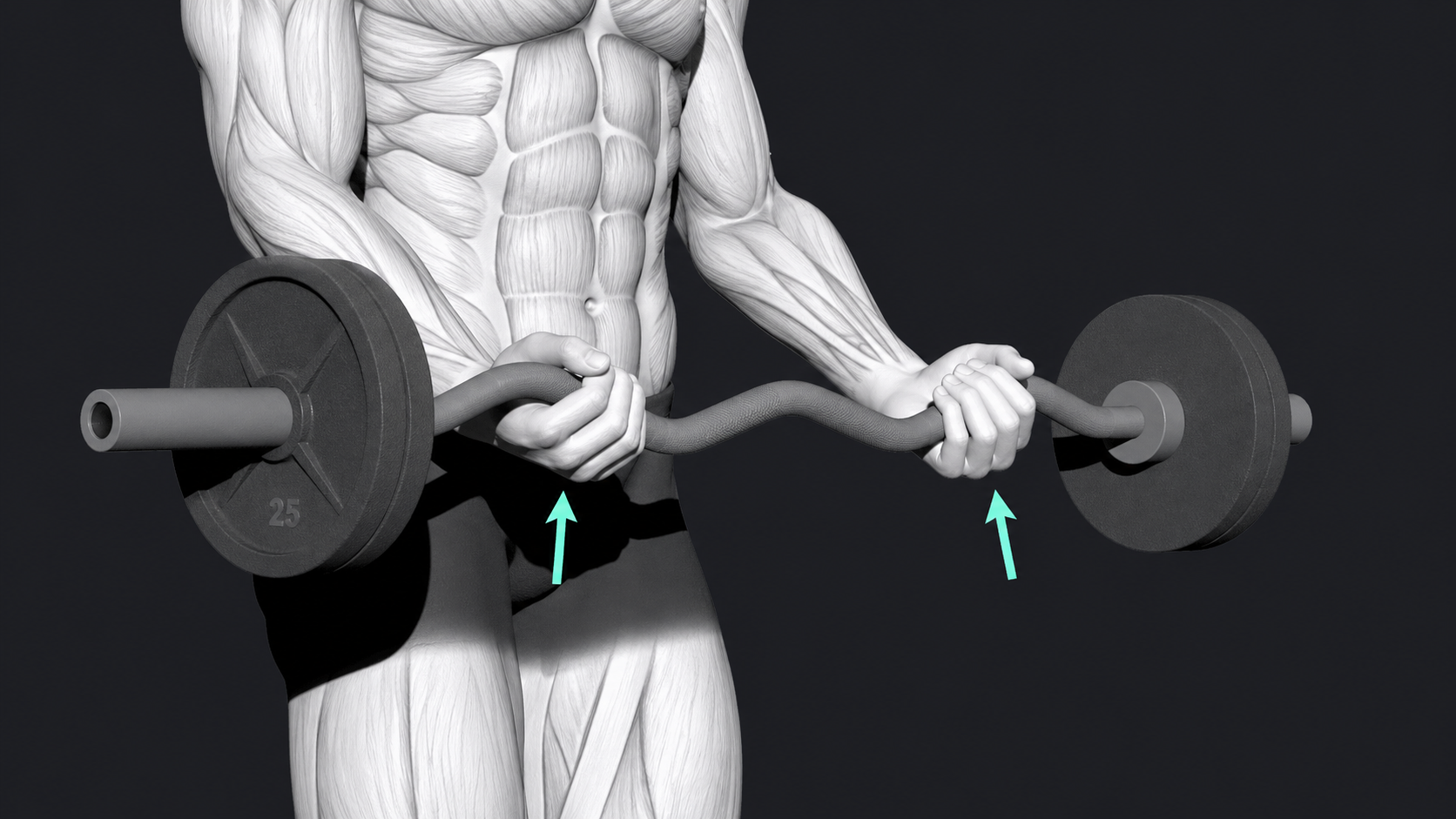 EZ-Bar Bicep Curl — Grip type
